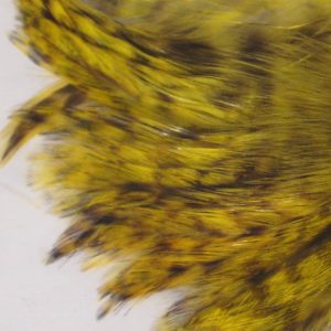 Barred Strung Neck Hackle